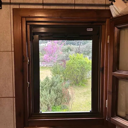 Apartment Ta Petrina Vourvourou
