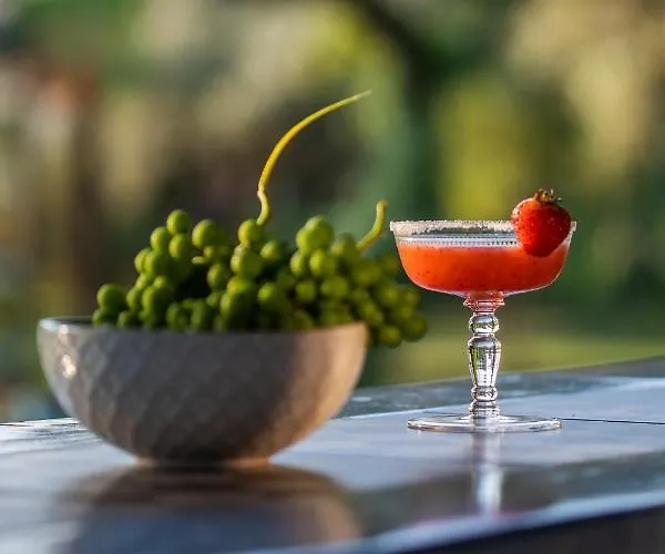 Ta Petrina Apartamento Vourvourou