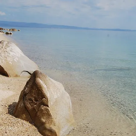 Ta Petrina * וורוורו