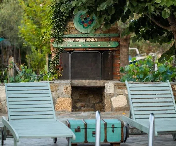 Ta Petrina * 沃尔沃罗